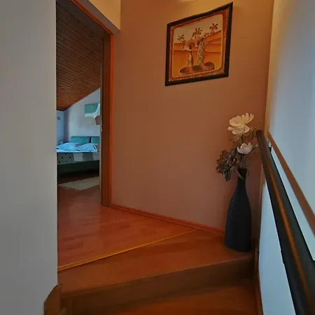 Roko Фажана
